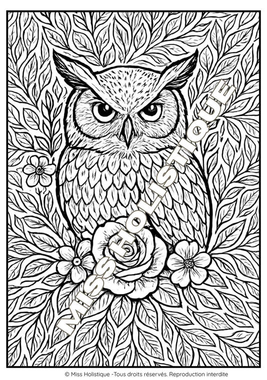 Coloriage Hibou Mandala - PDF à Imprimer