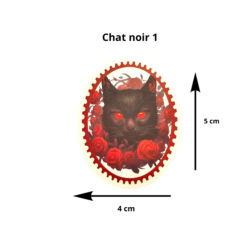 Sticker Chat Noir – Compagnon de Sorcière, protecteur du monde invivisble