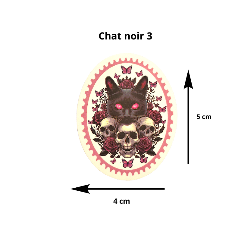 Sticker Chat Noir – Compagnon de Sorcière, protecteur du monde invivisble